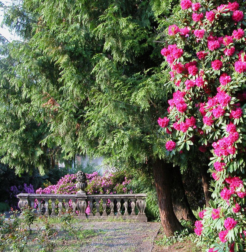 Du Parc Dipendenza Lake Maggiore Exterior photo