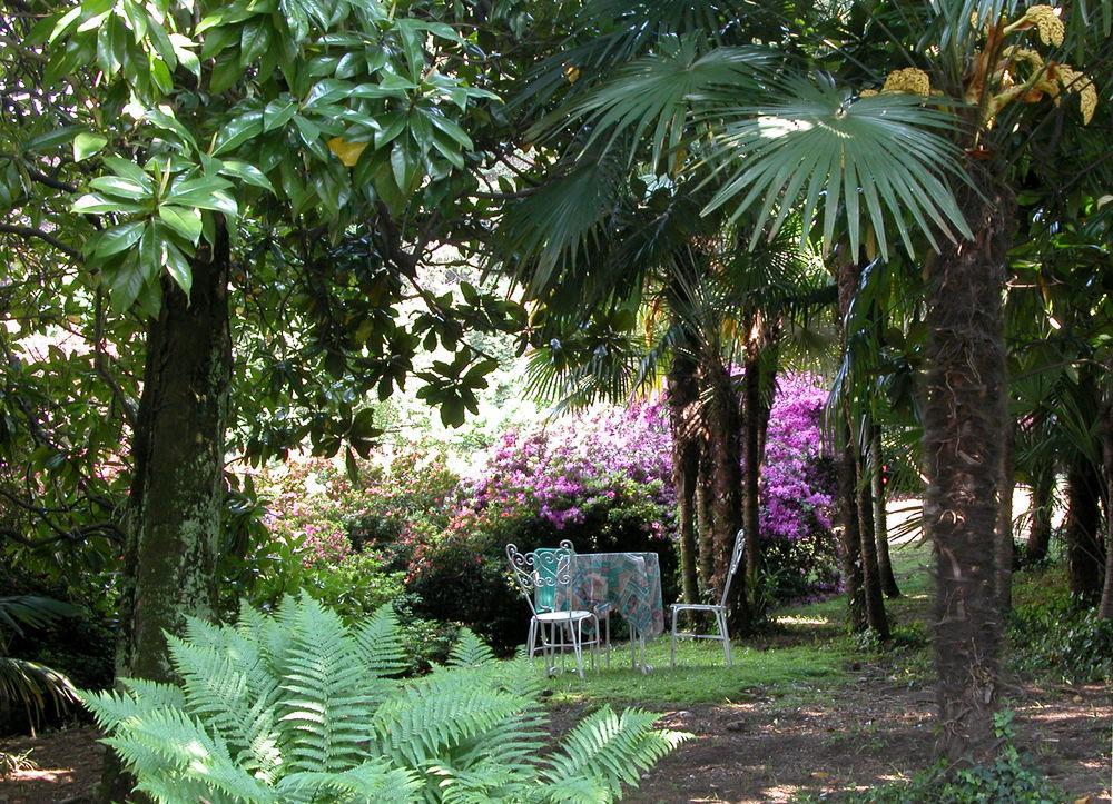 Du Parc Dipendenza Lake Maggiore Exterior photo