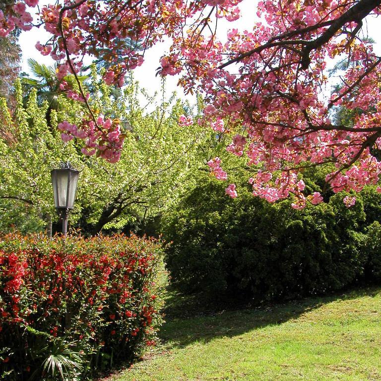 Du Parc Dipendenza Lake Maggiore Exterior photo